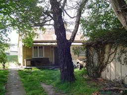 11 Rothwell Street