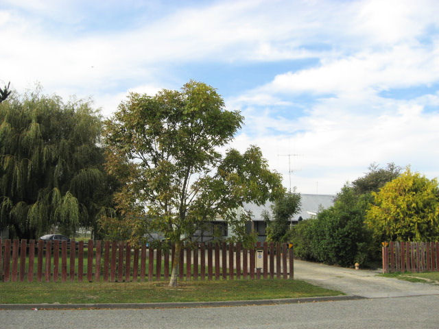 50 Rothwell Street