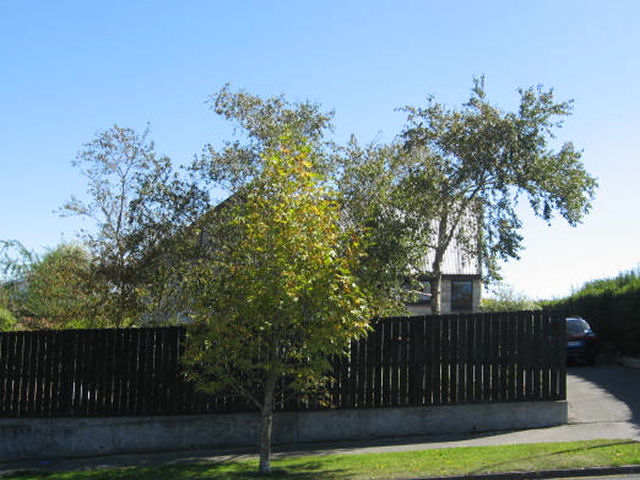 21 Chaucer Street