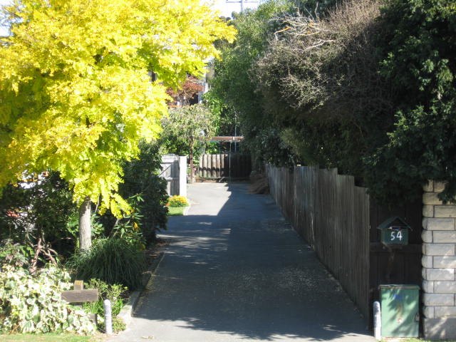 54 Benmore Street