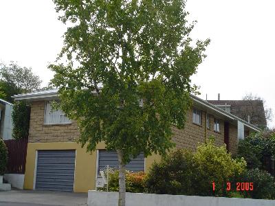 21 Benmore Street