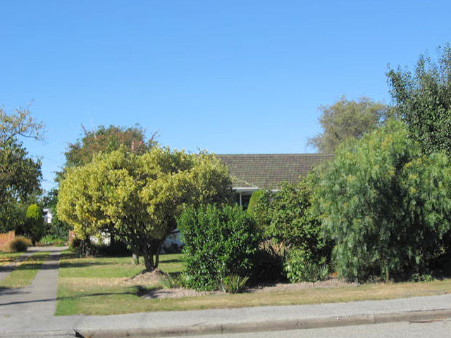 29 Belt Street