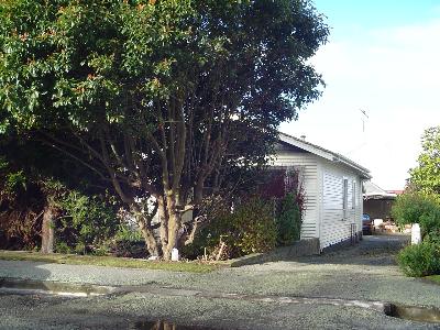 5 Belt Street