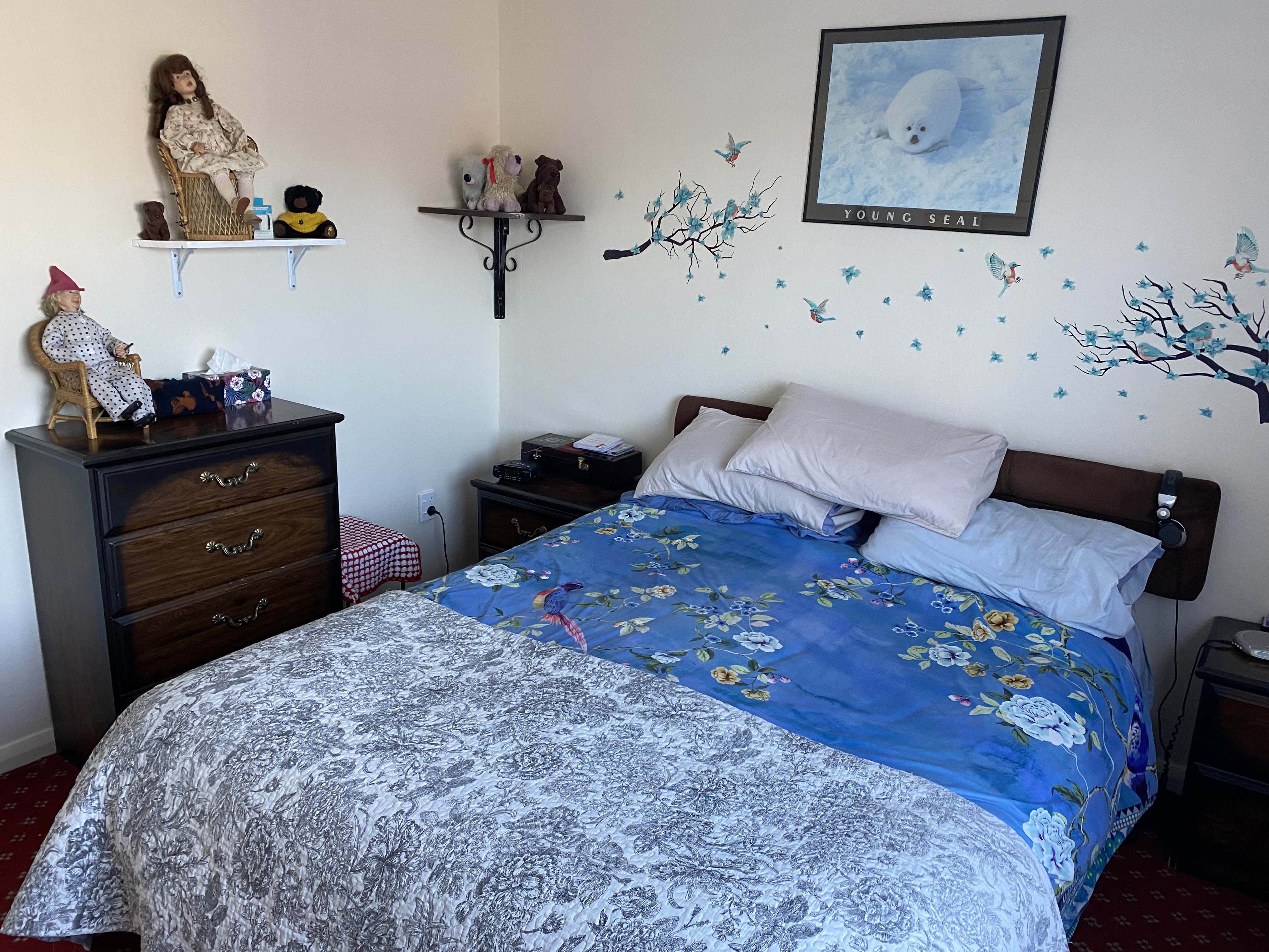 3 Hamilton Street, Fairlie