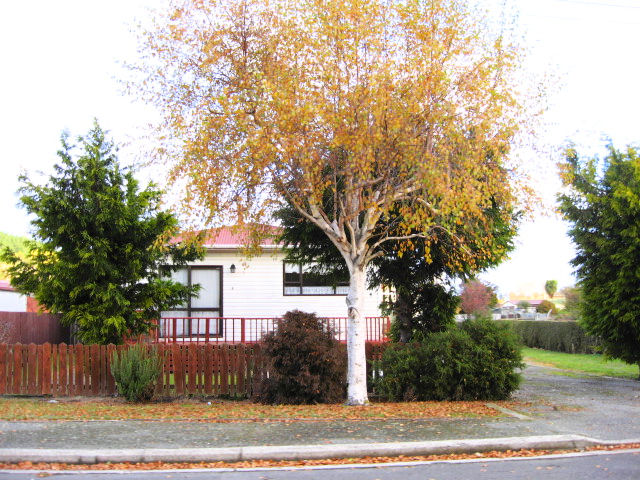 40 Stromness Street, Palmerston
