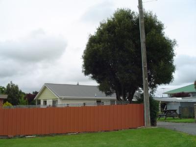 47 Auskerry Street, Palmerston