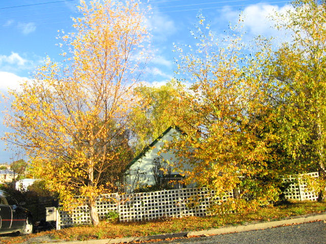 2 Sanday Street, Palmerston