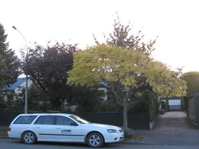 8 Craighead Street