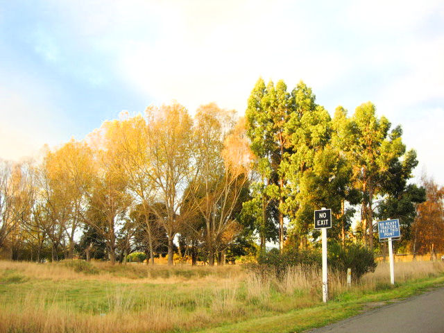 37 Stromness Street, Palmerston
