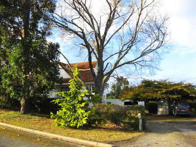 56 Runbrake Street, Palmerston