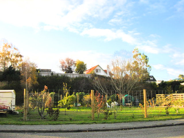 3 Sanday Street, Palmerston