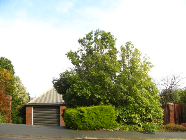 52 Bengal Drive, Cashmere, Christchurch