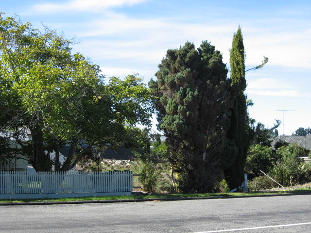 11 Shaw Street