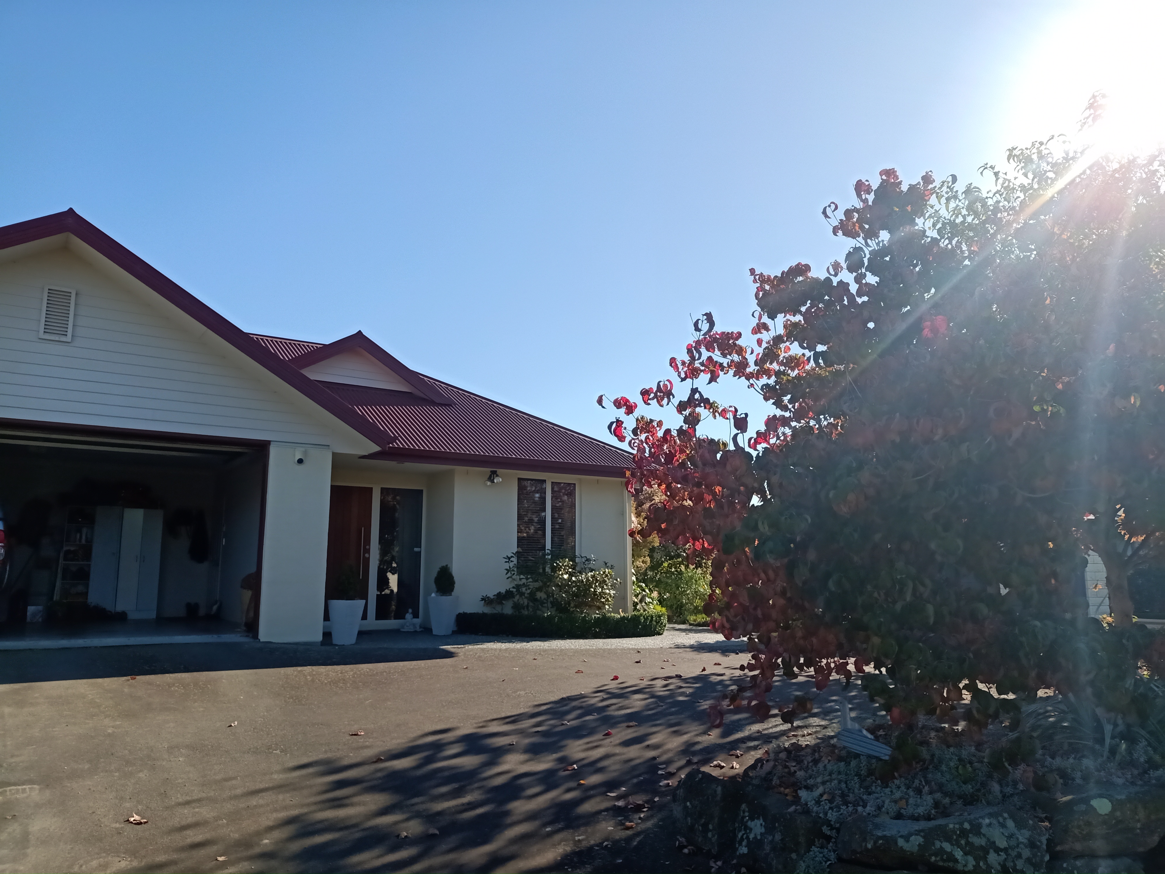27 Totara Street