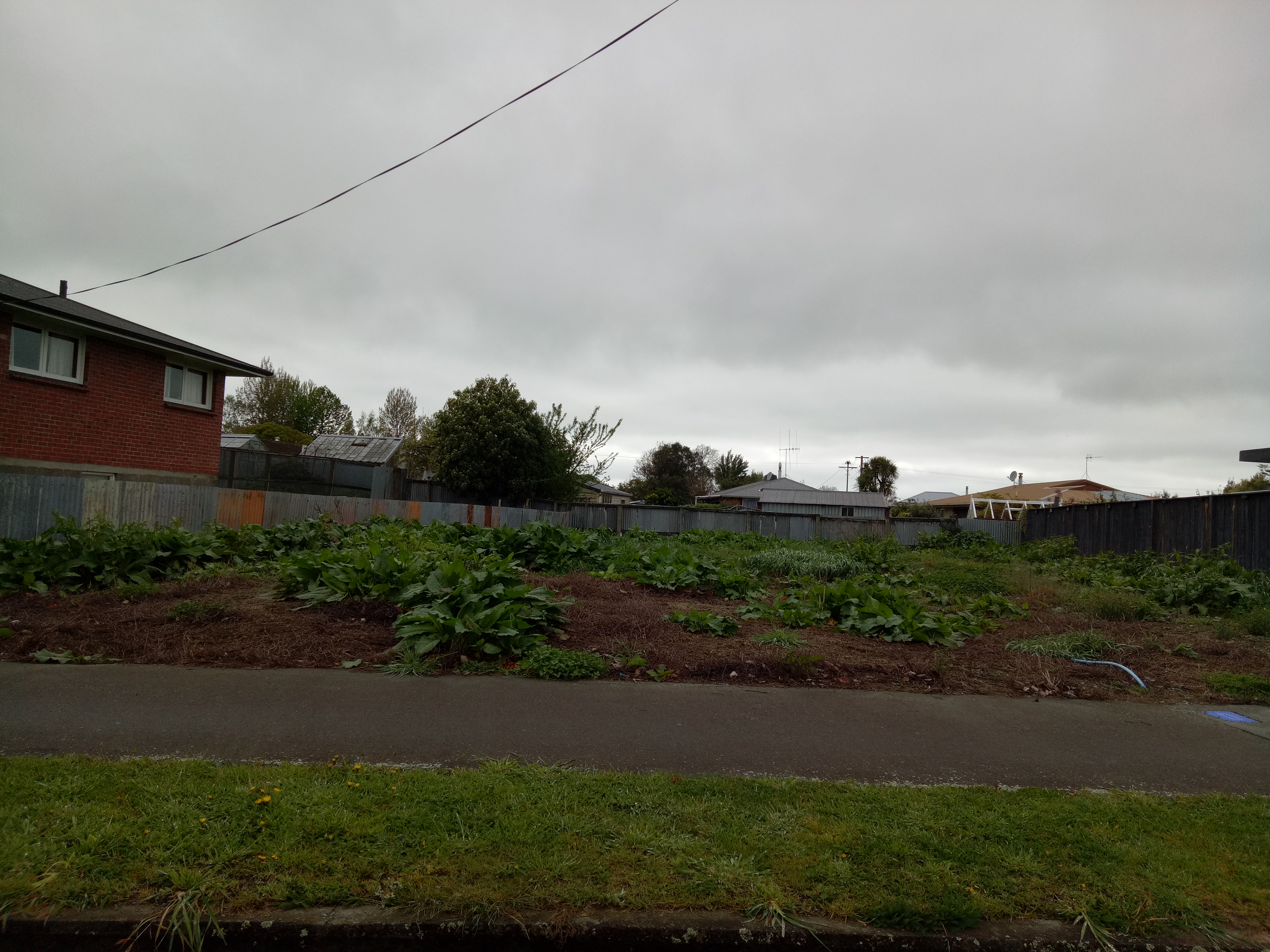 46A Whitcombe Street