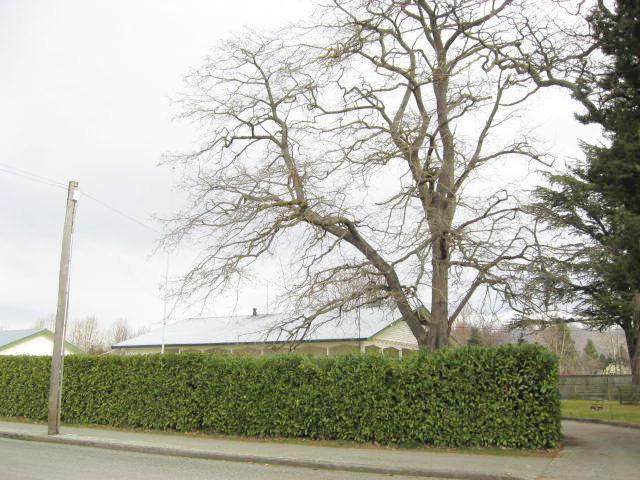 57 Gall Street, Fairlie