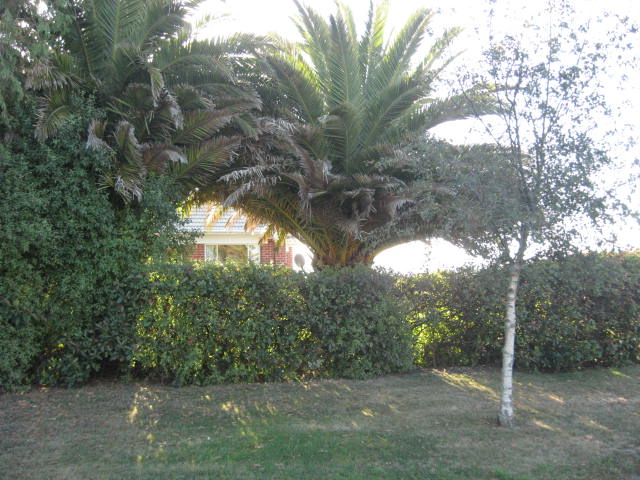 21 Ascot Street