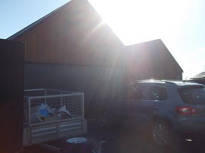 47 Winfield Drive, Halswell, Christchurch