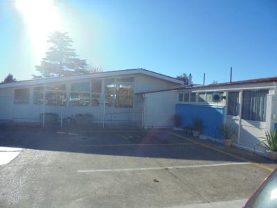 225 Selwyn Street, Marchwiel, Timaru