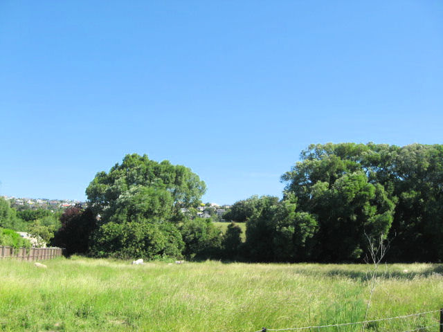 299 Cashmere Road, Hoon Hay, Christchurch