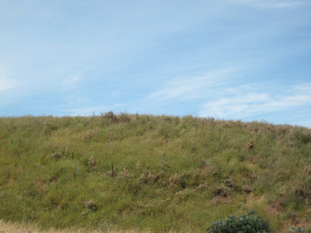 11 Sedbergh Place, Christchurch