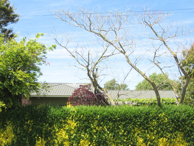 11 Kopara Street, Templeton, Christchurch