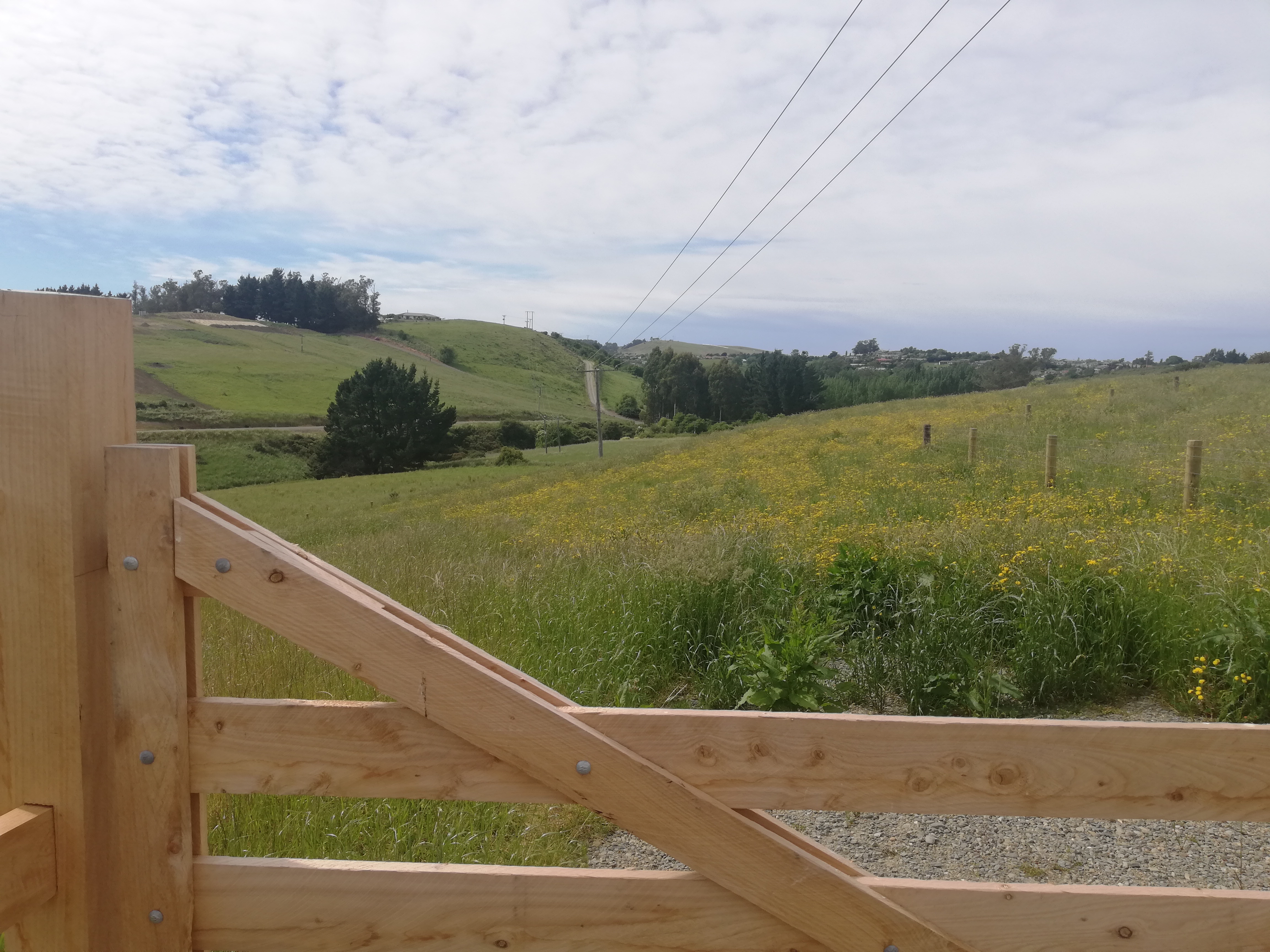 Pukeko Lane, Weston