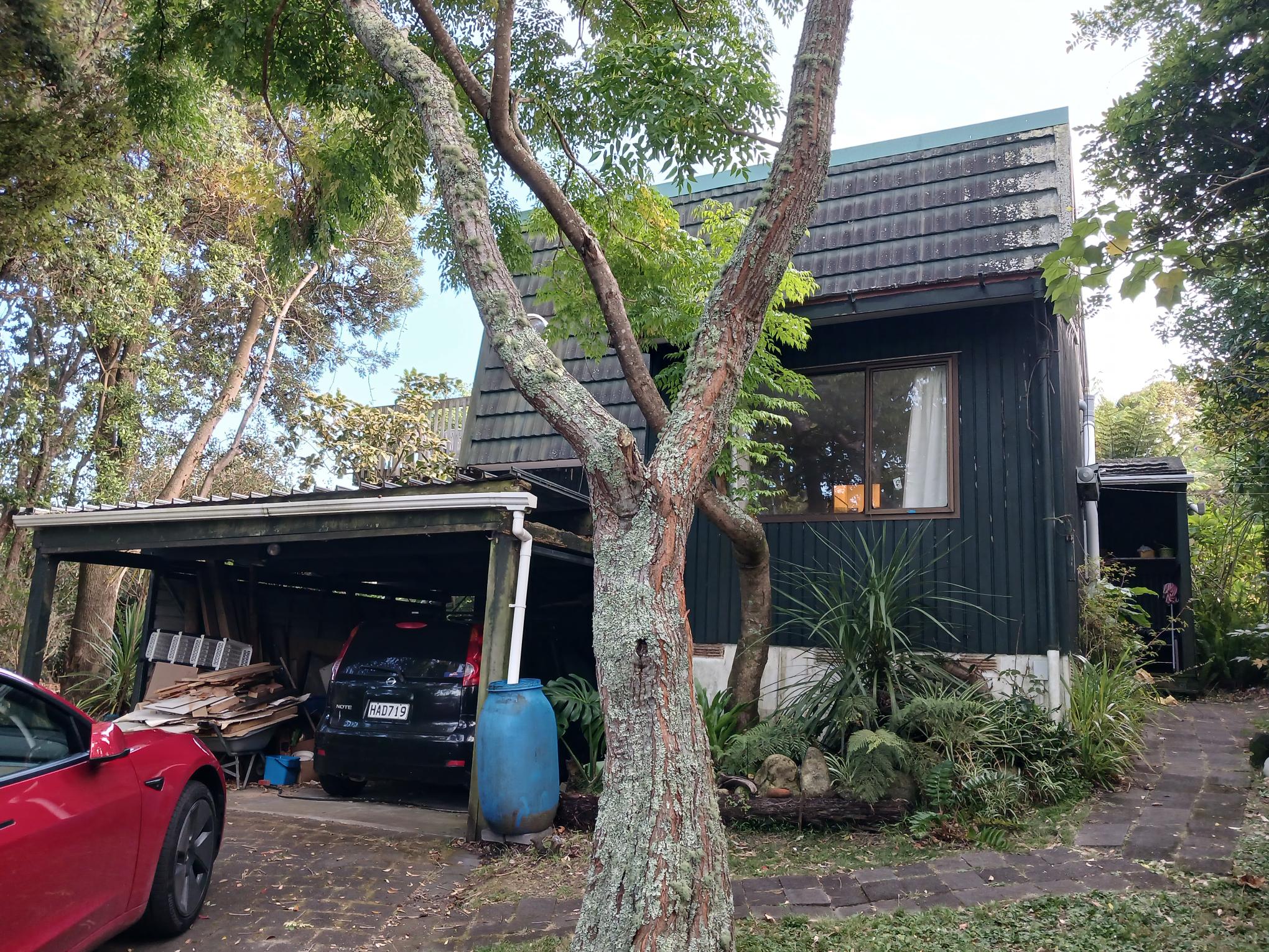8 Morlie Place, Torbay